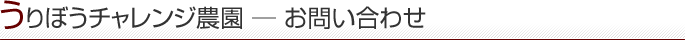 うりぼうについて―お問い合わせ